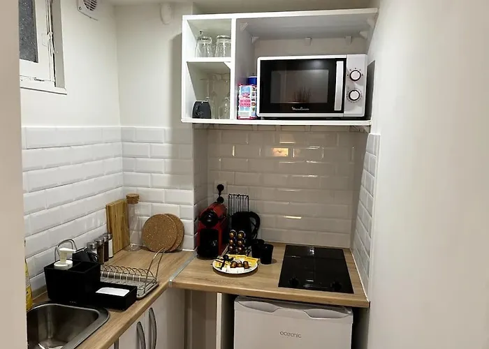 Apartament Studio Calme - Hypercentre - Metro - Netflix -wifi Tuluza